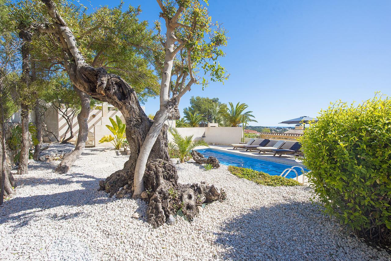 Villa Benavero Boutique Style Within Fenced Tropical Garden Калпе Екстериор снимка