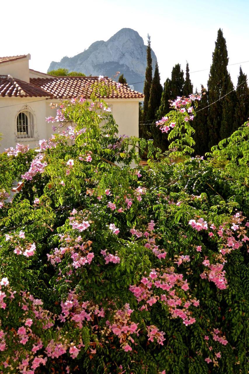 Villa Benavero Boutique Style Within Fenced Tropical Garden Калпе Екстериор снимка